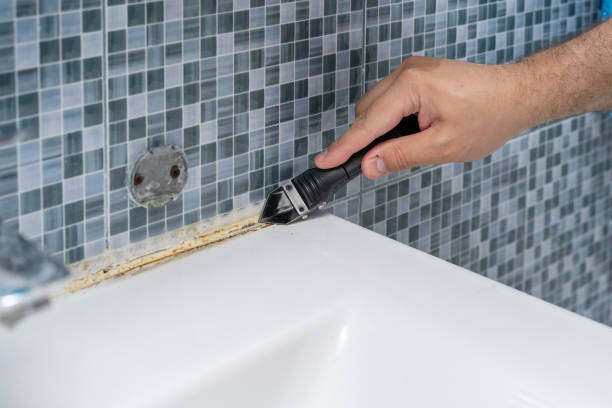 Best Attic Mold Removal  in Providence, RI